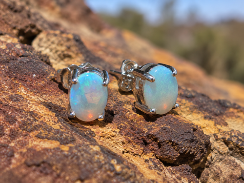 Eternal Ember — Stunning Solid Australian Crystal Opal Earrings